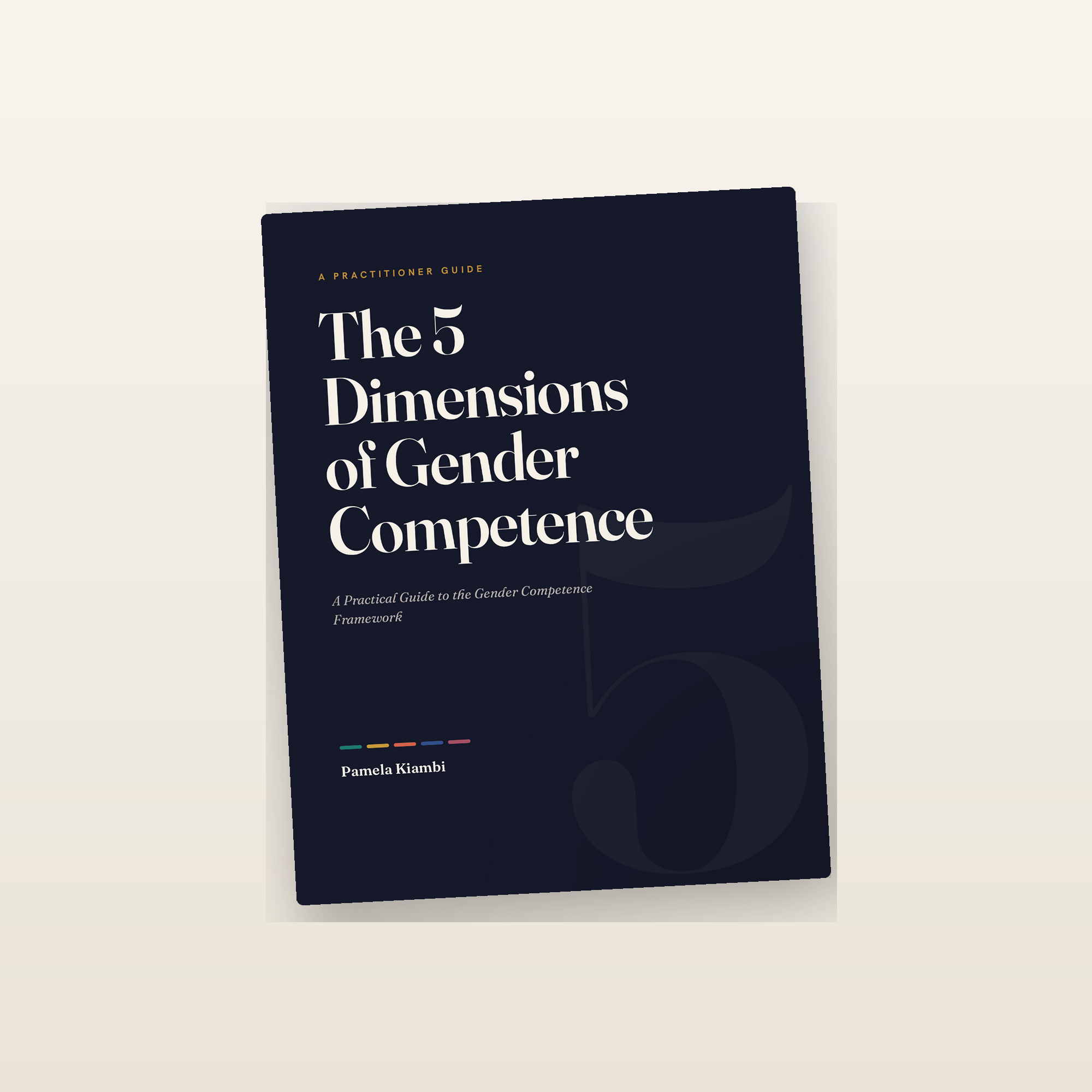 The 5 Dimensions of Gender Competence — practitioner guide